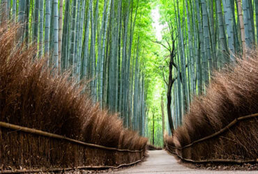 Travel agent for cheap tour packages in Gurgaon